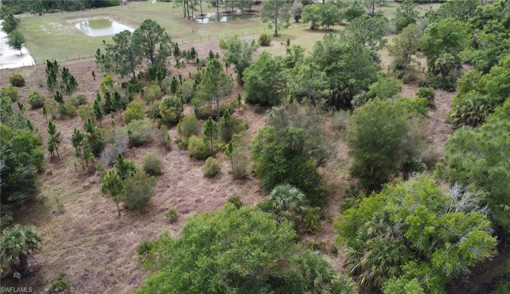 49151 Bermont RD photo 6