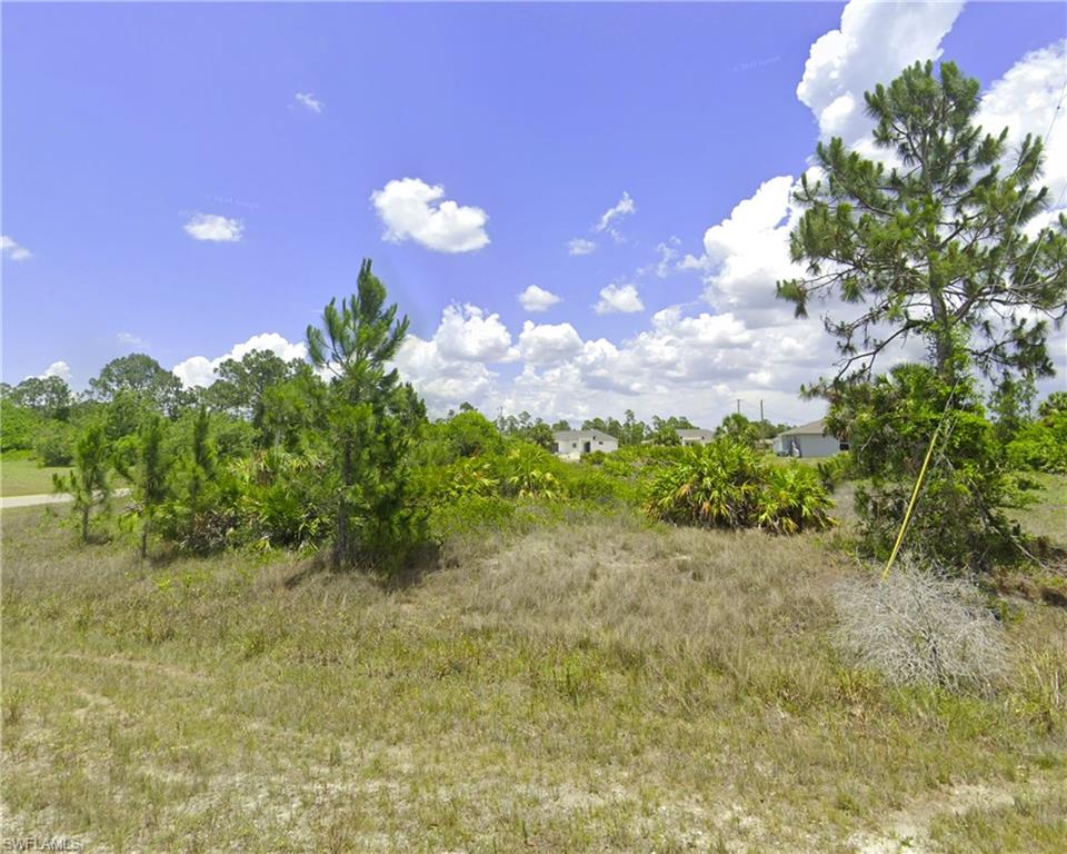 View of undeveloped land
