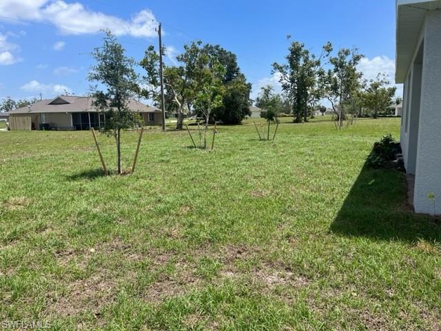 25118 Doredo DR photo 21