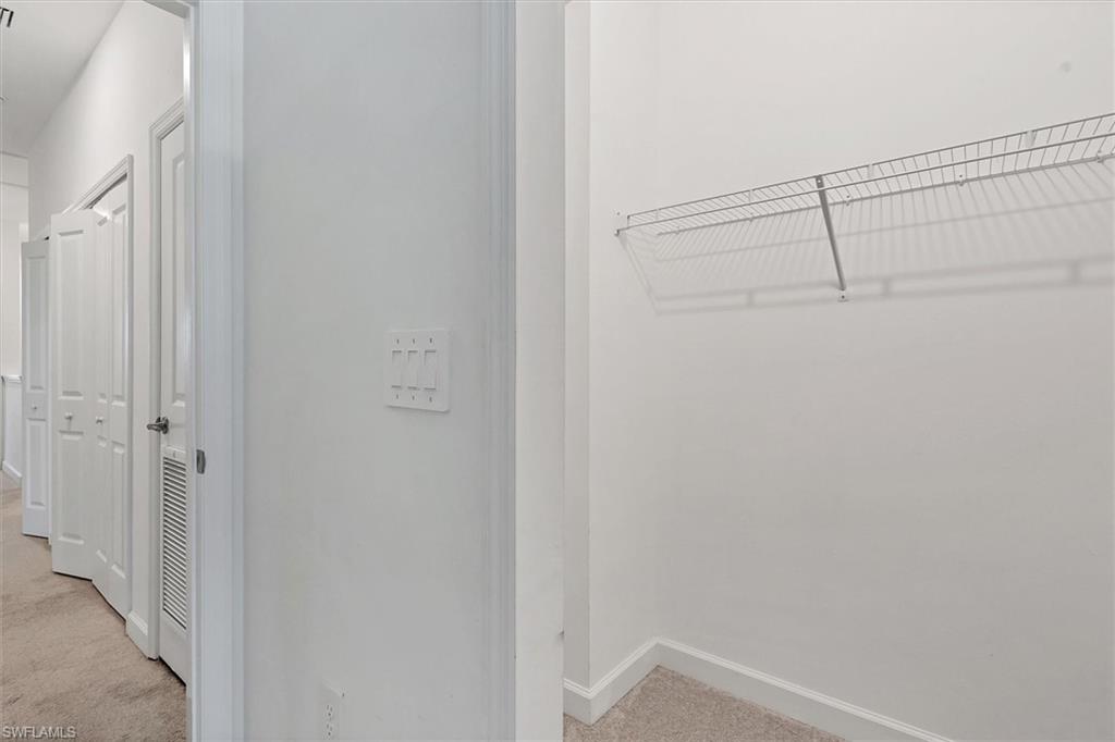 Walk in closet with light colored carpet