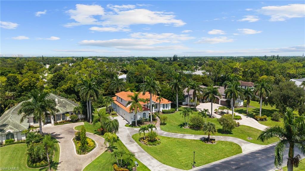 Tropical landscape featuring mature palm trees and lush green lawns