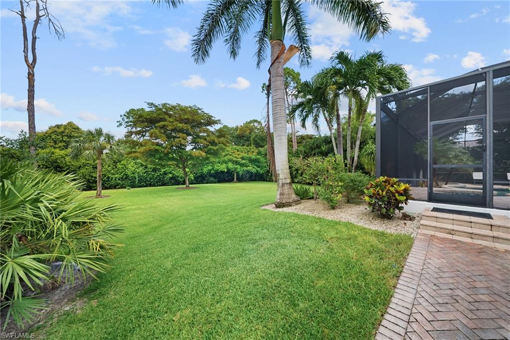 Expansive green lawn with mature palm trees and tropical landscaping