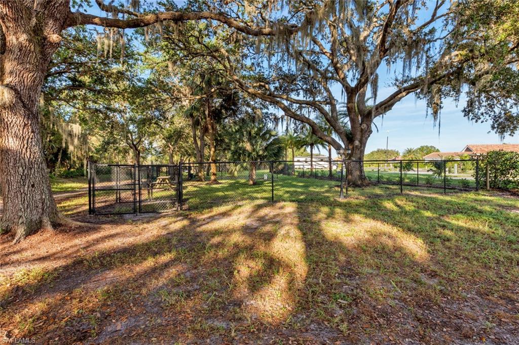 13447 Golden Palms CIR photo 26