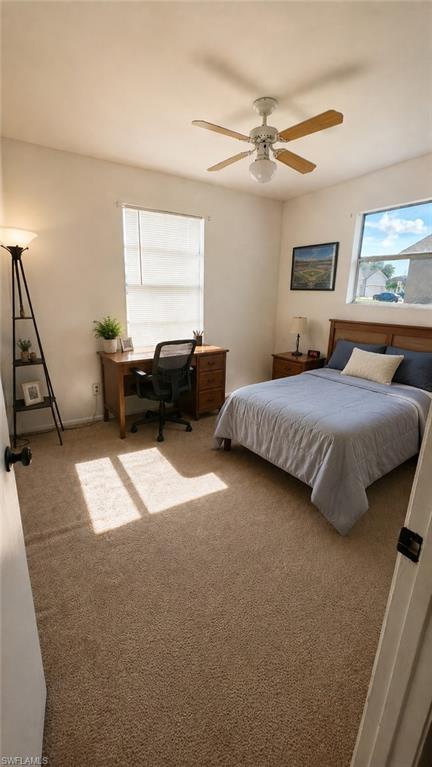 Carpeted room featuring a ceiling fan with light fixture, two windows with blinds, and a built-in closet with a white door