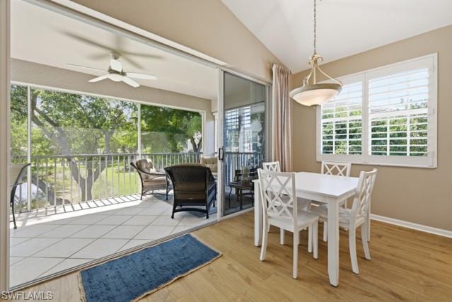 7122 Blue Juniper CT 202 photo 13