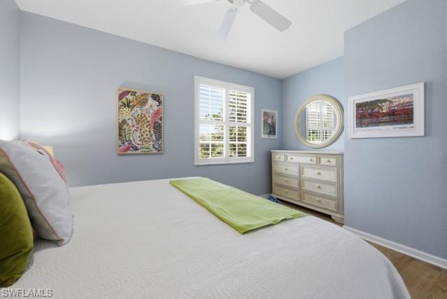 7122 Blue Juniper CT 202 photo 26