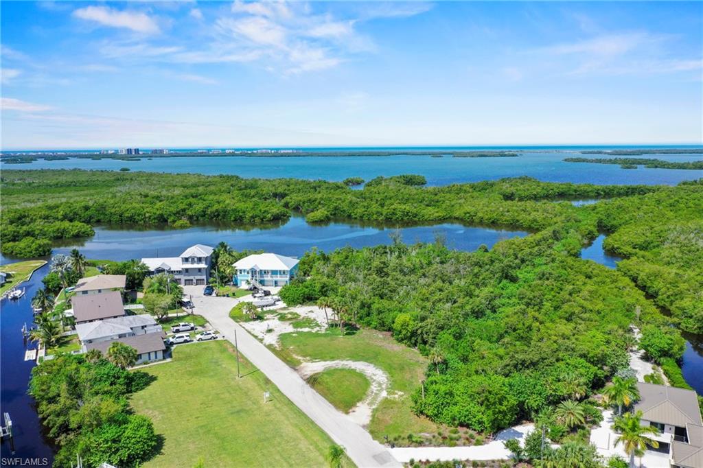Expansive water frontage with surrounding lush mangroves