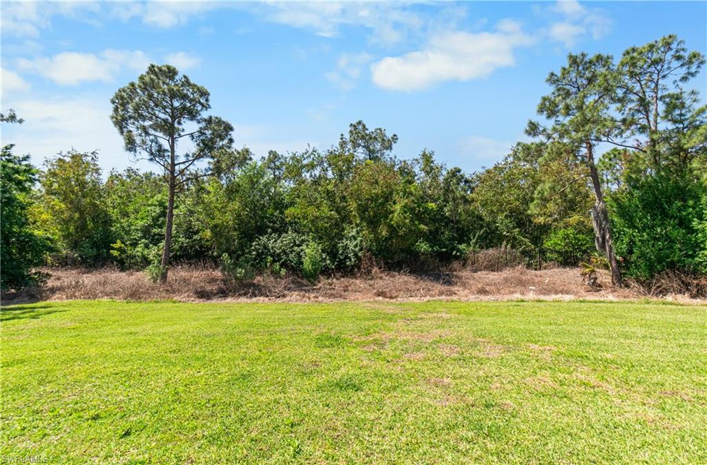 12301 Jewel Stone LN photo 28