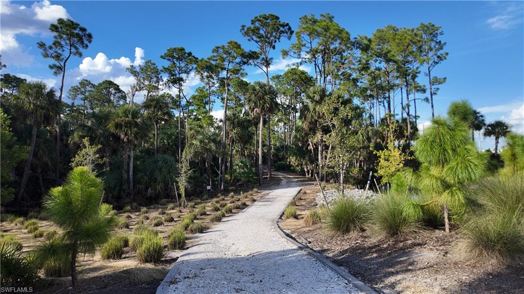 Babcock Ranch  Nature Trail
