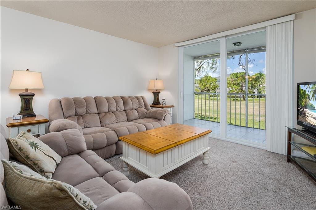 180 Turtle Lake CT 210 photo 7