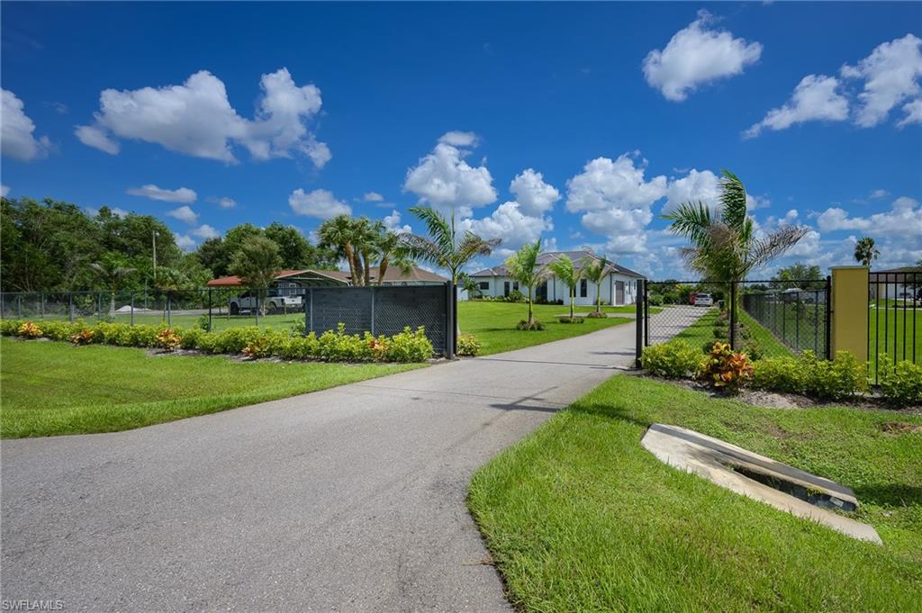 Paved driveway with a wrought iron entry gate, surrounded by manicured lawns and mature palm trees