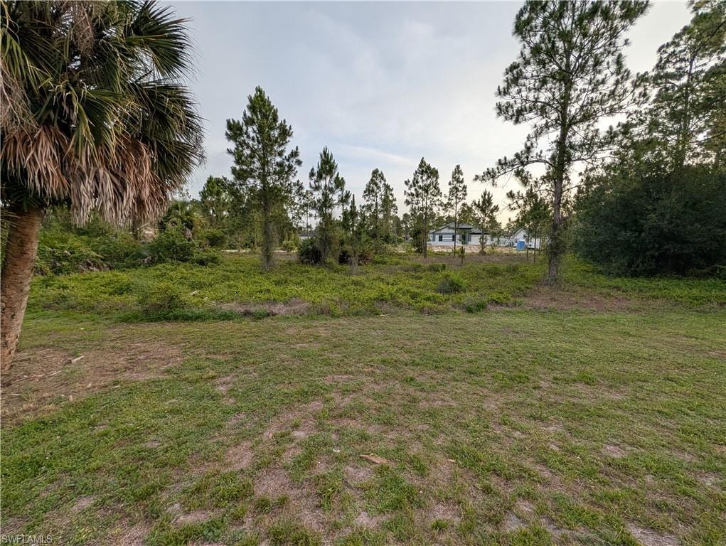 Huge backyard