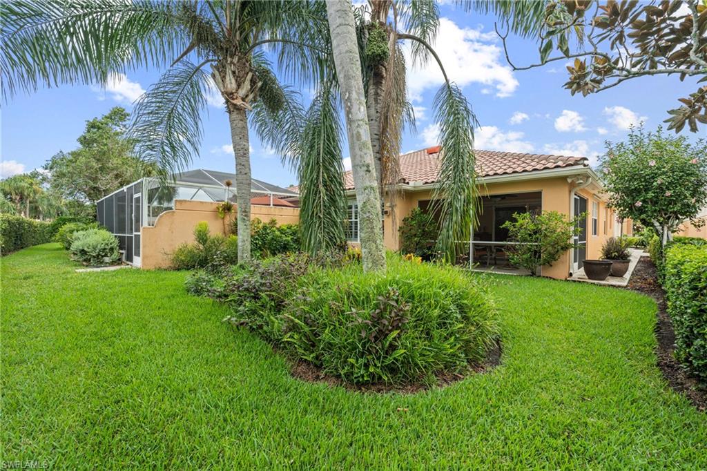 Expansive rear yard featuring a manicured lawn, established landscaping, and mature palm trees