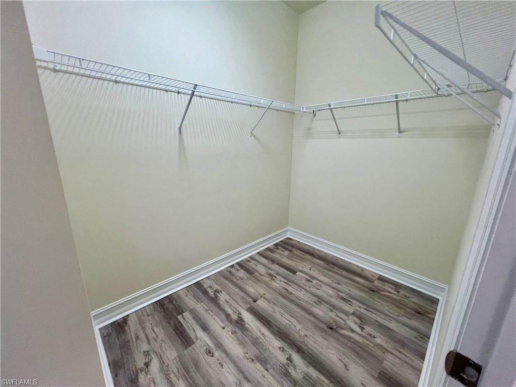 Spacious closet featuring wood-type flooring