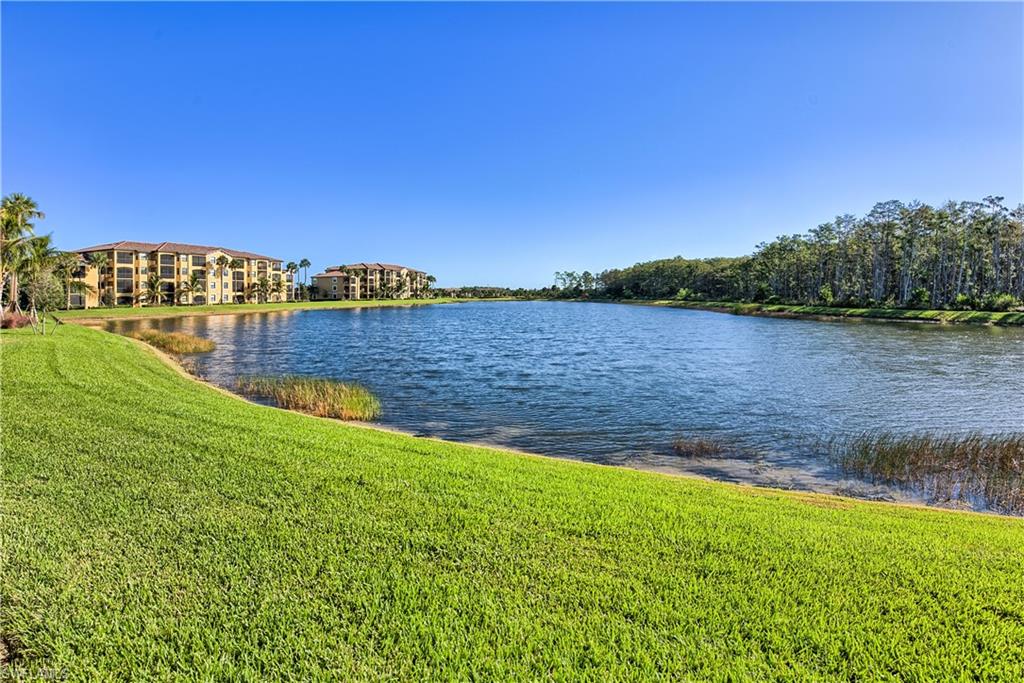Expansive water body with lush green banks