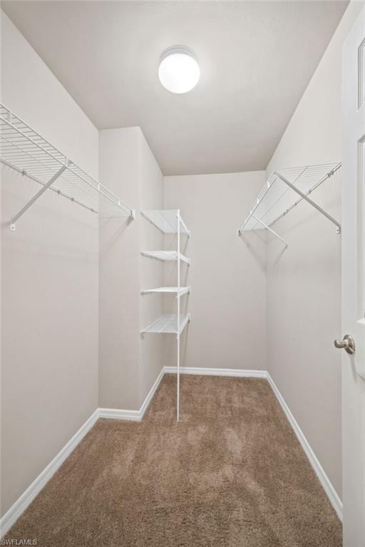 3166 Estancia LN photo 12