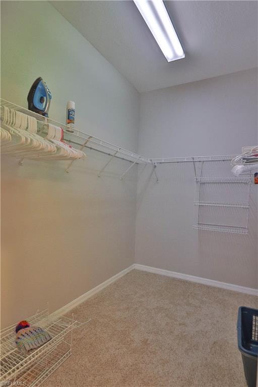 20510 Ardore LN photo 20