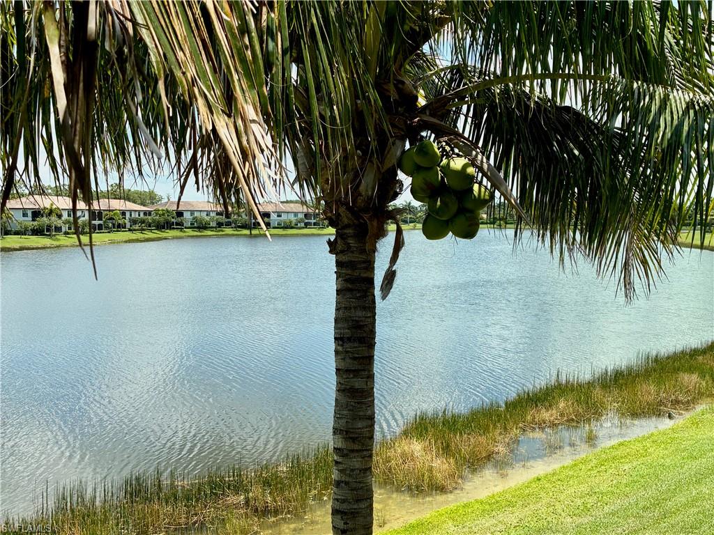 9529 Avellino WAY 2825 photo 23