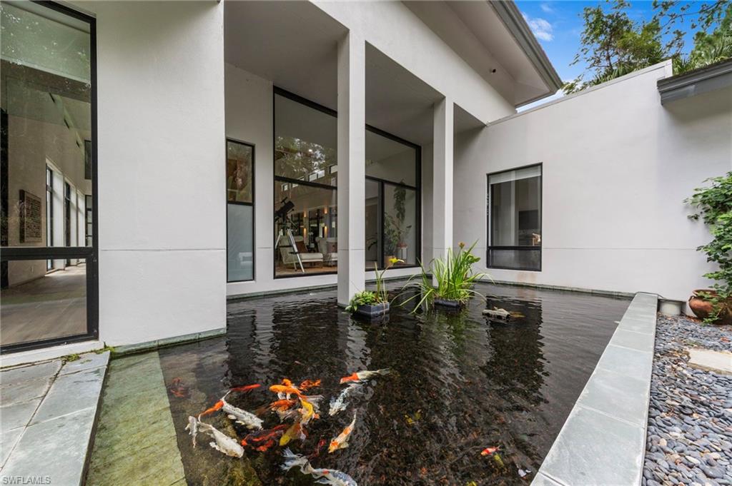 Koi Pond