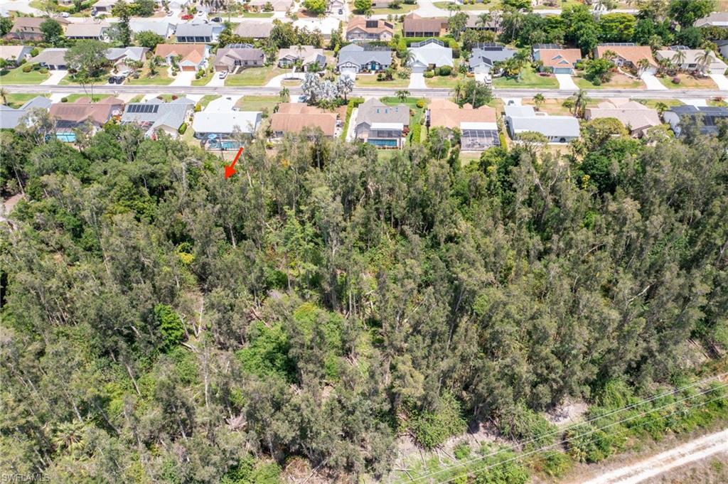 Expansive wooded lot offering substantial tree coverage