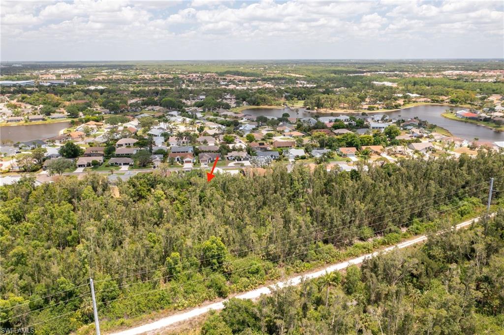 Expansive wooded landscape featuring a natural tree line and distant residential area