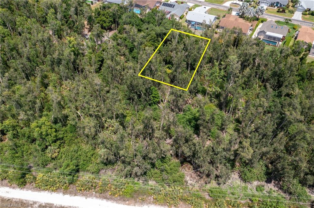 Expansive wooded parcel featuring mature trees
