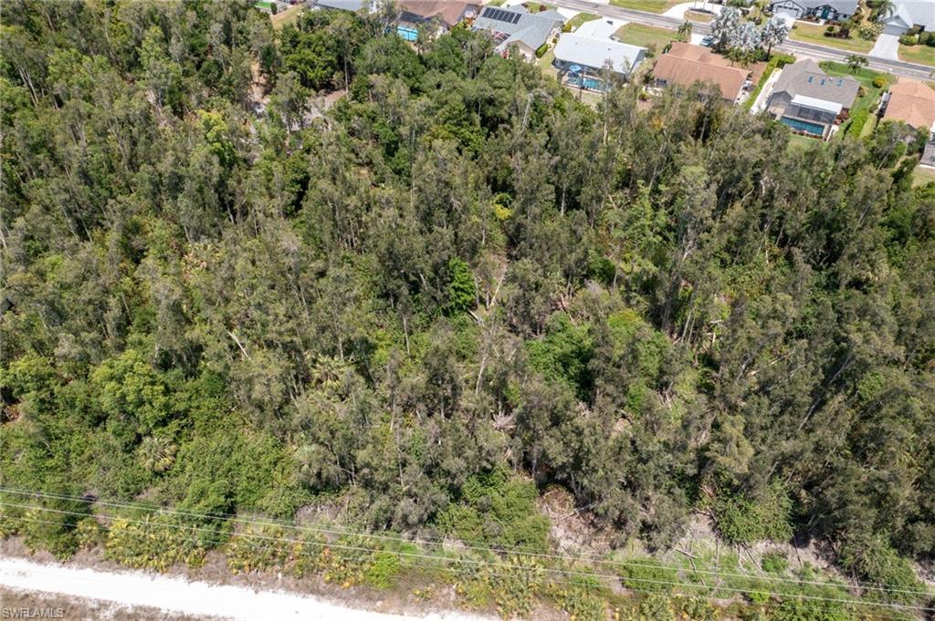 Expansive undeveloped land parcel featuring mature trees and natural vegetation