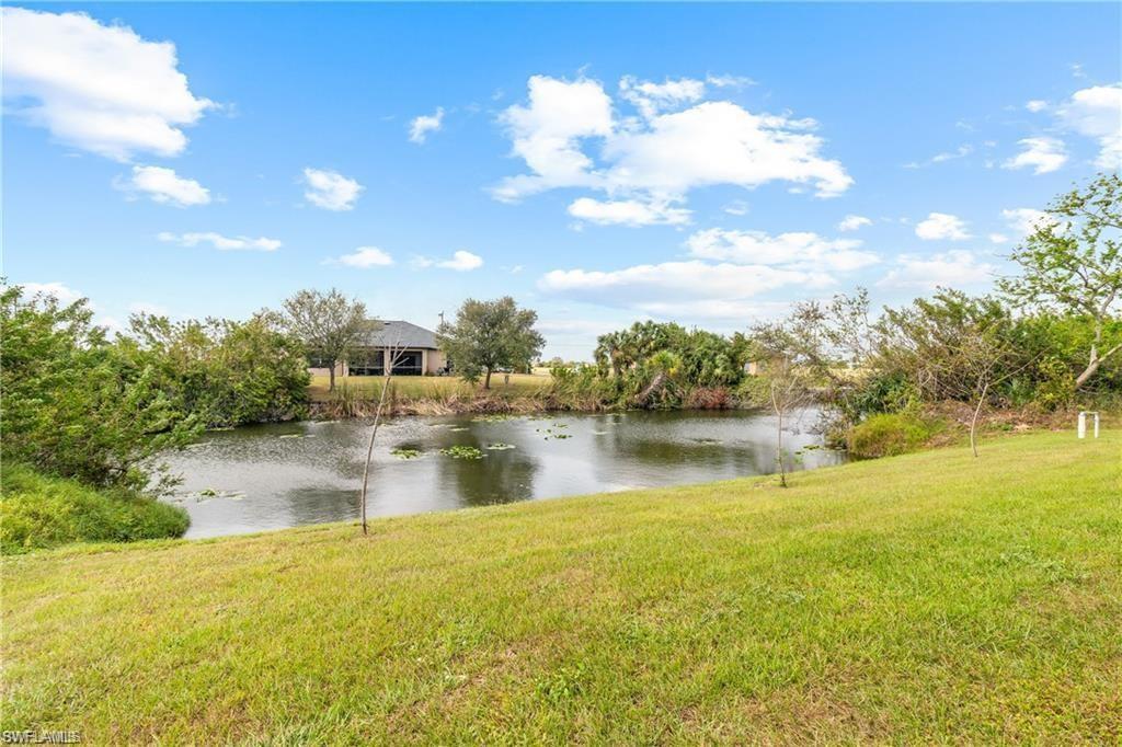 Expansive green space featuring a natural water element with lily pads and surrounding foliage