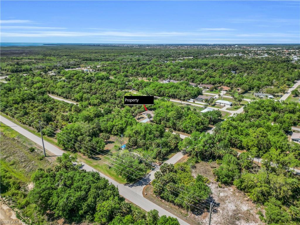 26140 Hapsburg RD photo 10