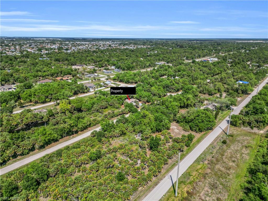 26140 Hapsburg RD photo 11
