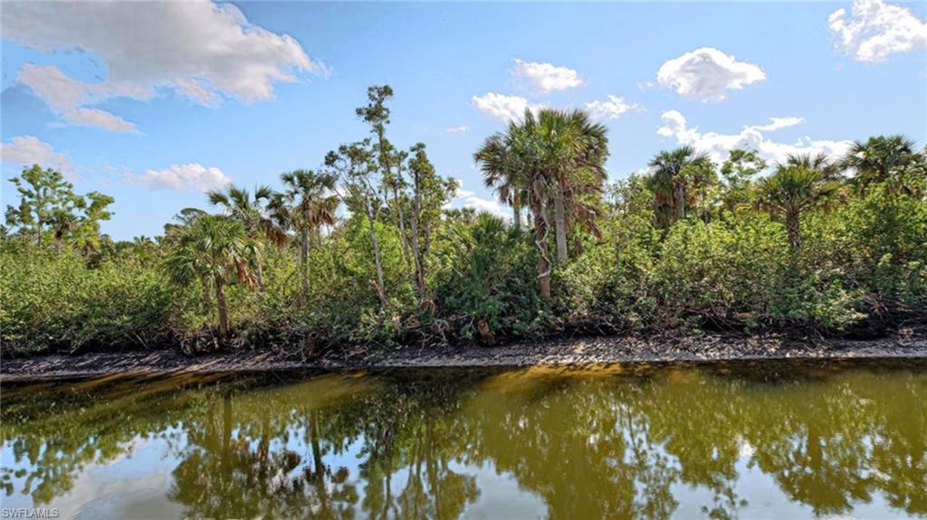 Waterfront property featuring diverse tropical foliage, including mature palm trees and lush green shrubs