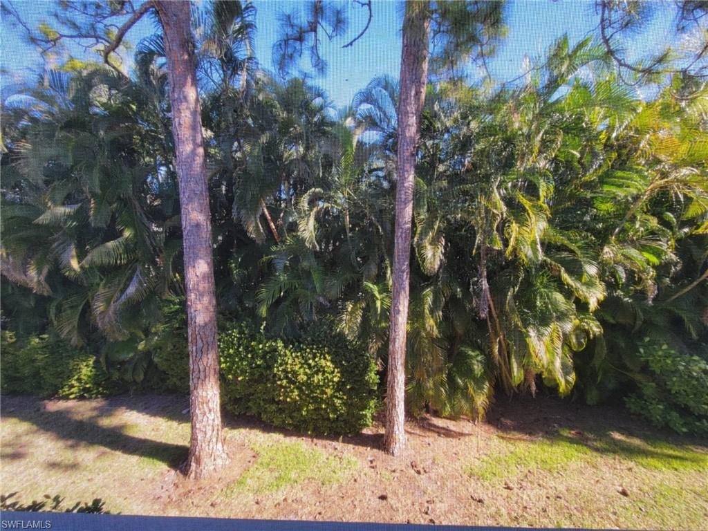 2618 Kings Lake BLVD 2-202 photo 15