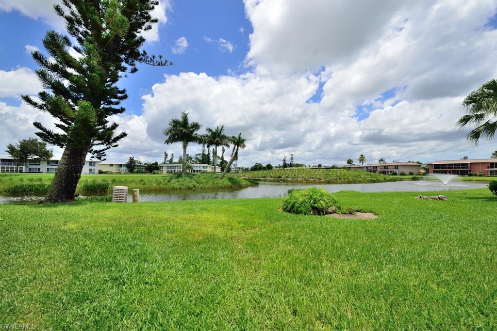 229 Palm DR 229-2 photo 9