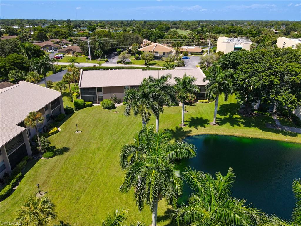 Lush landscaping, mature palm trees, water feature, and surrounding green spaces