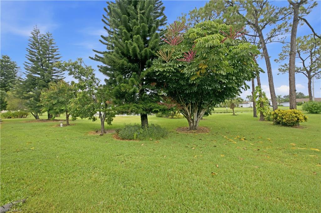 2041 Pine Isle LN 2041 photo 28