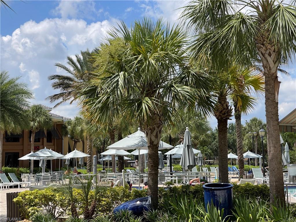 View of umbrellas at pool