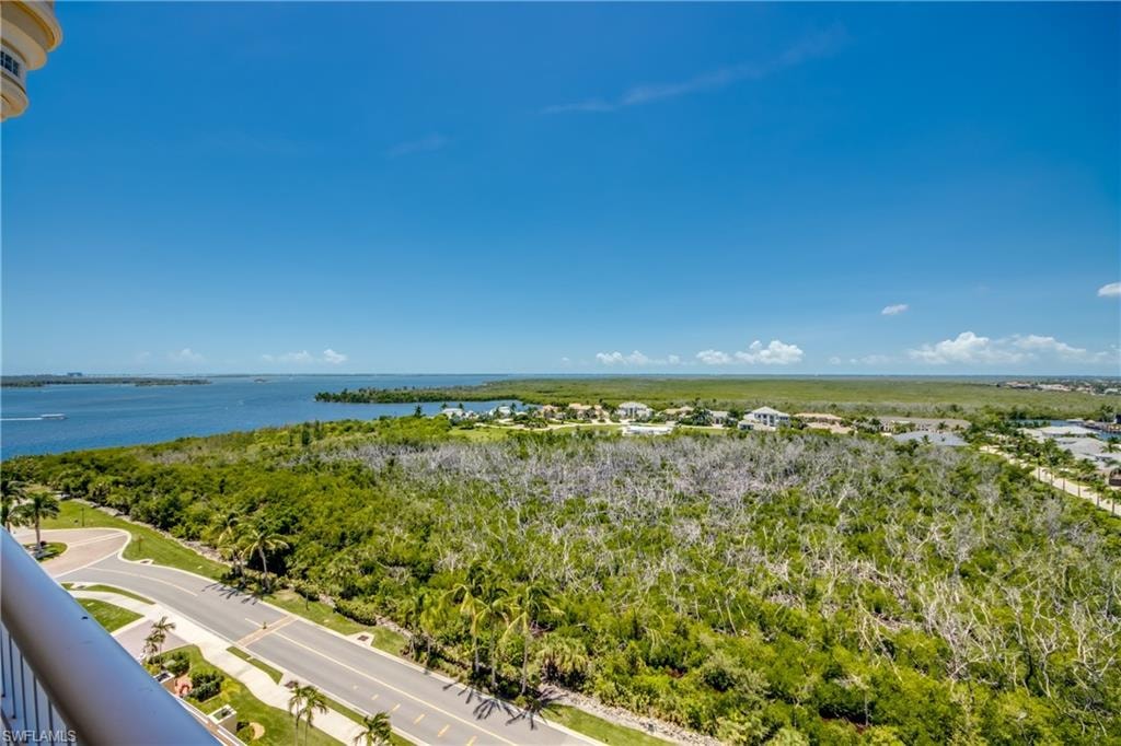 Expansive water frontage with lush surrounding foliage