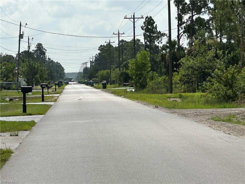 Paved street lined with mailboxes and mature trees