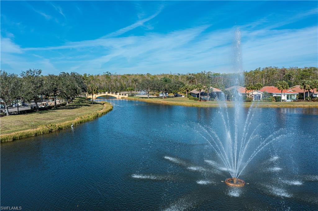 10651 Pelican Preserve BLVD C photo 40