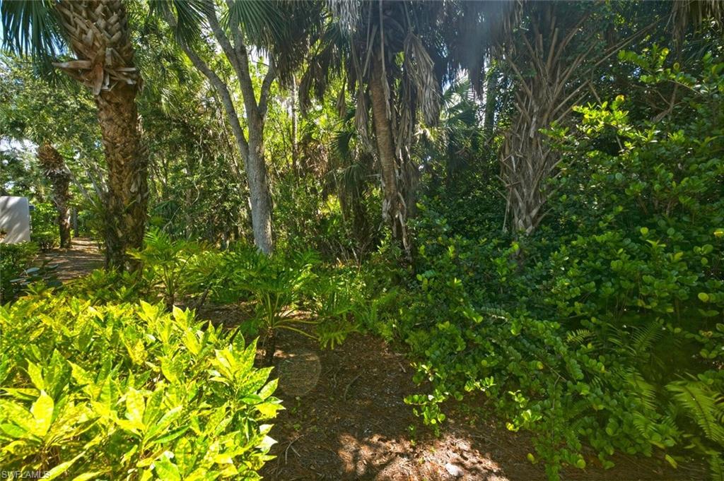 Serene Preserve views from the Florida lanai are private and peaceful.