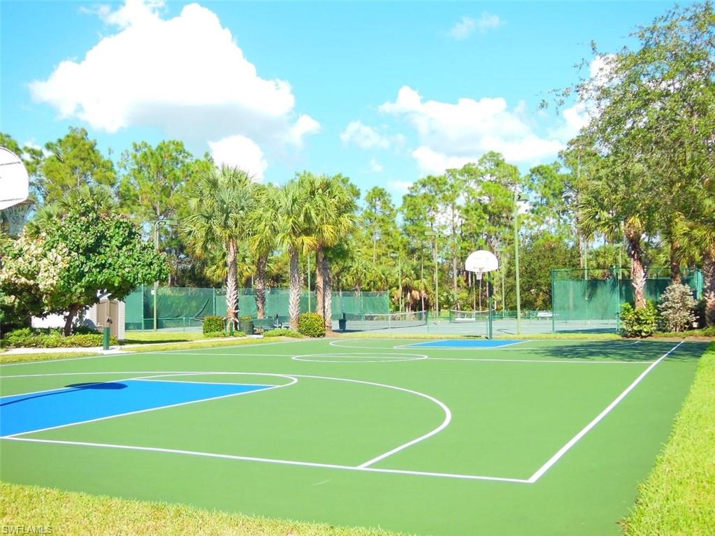 Basketball