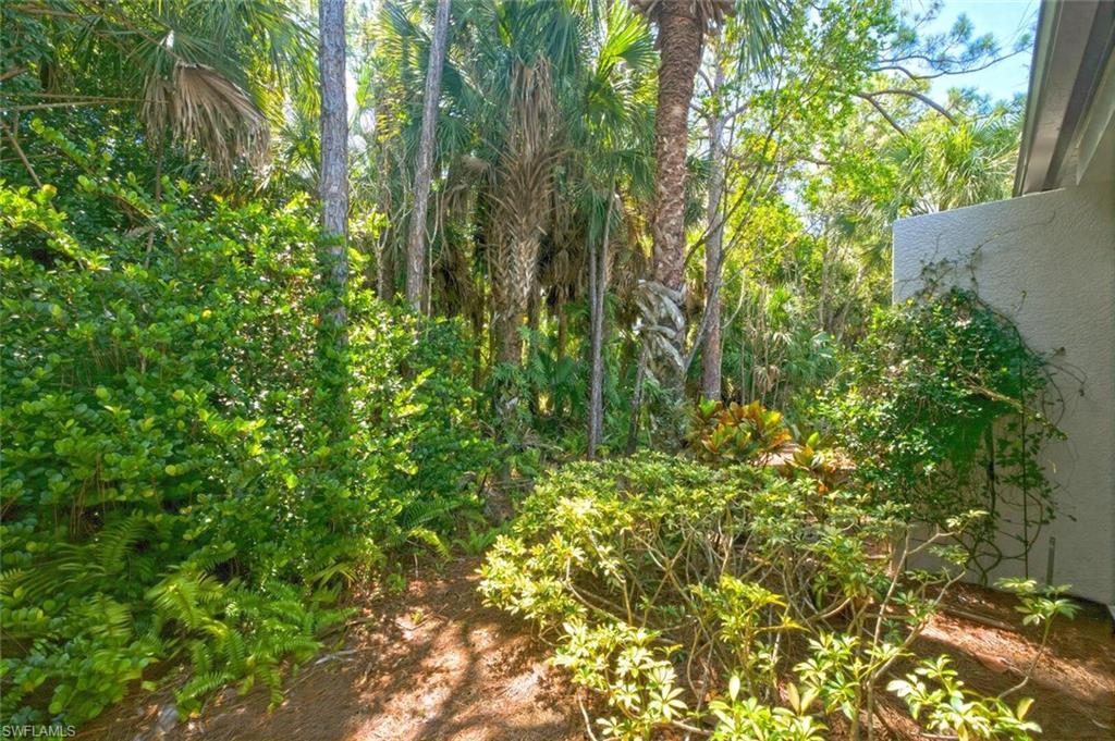 Serene Preserve views from the Florida lanai are private and peaceful.
