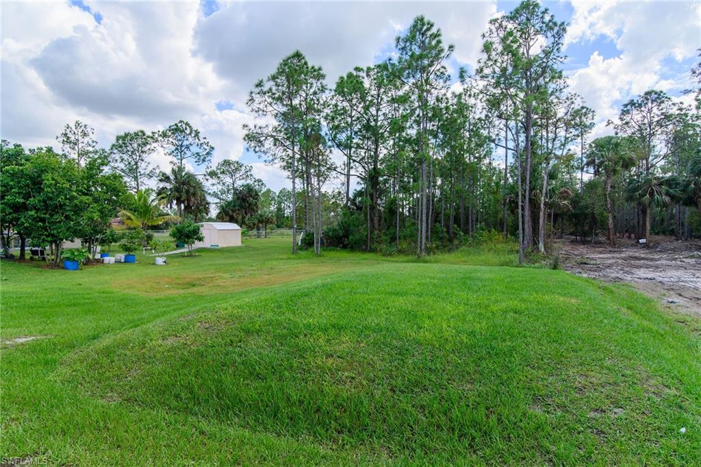 Expansive grassy area with mature trees and a utility shed