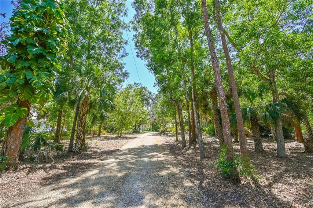 driveway