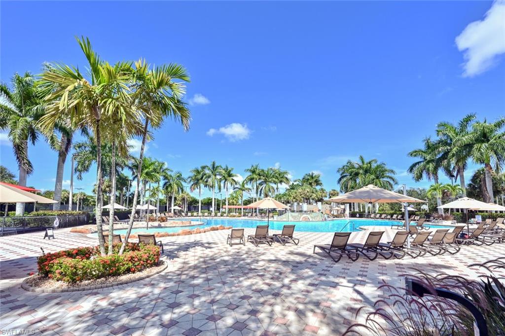 Expansive outdoor pool area featuring a large swimming pool, patterned paver decking, numerous lounge chairs with umbrellas, and mature palm trees