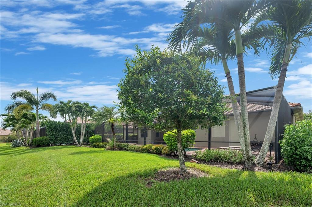 Expansive green lawn featuring mature palm trees and lush landscaping