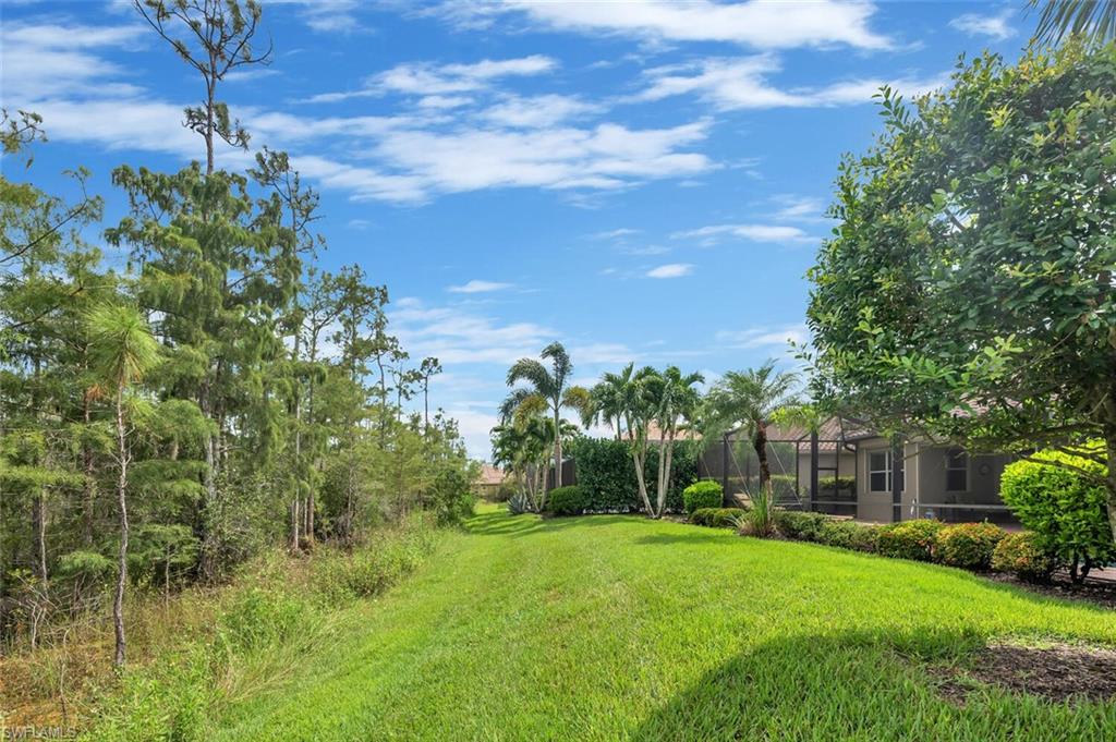 Expansive backyard featuring a manicured lawn, lush tropical landscaping, mature palm trees, and a screened lanai structure