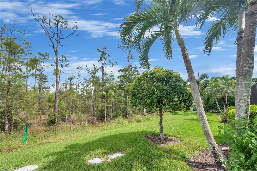 Expansive backyard featuring a manicured lawn, established palm trees, a spherical ornamental tree, and stone paver accents, bordered by a natural wooded area