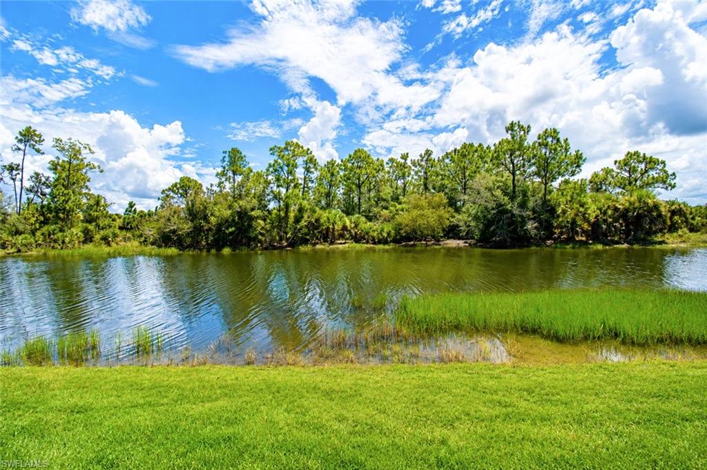 Water and preserve views