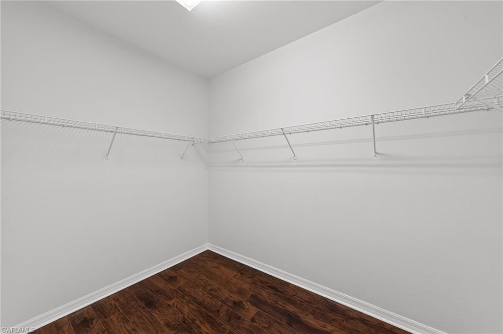 Walk in closet featuring dark wood-style floors